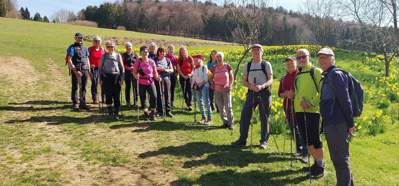 Aussichtsreiche Frühlingswanderung im Mühlviertel