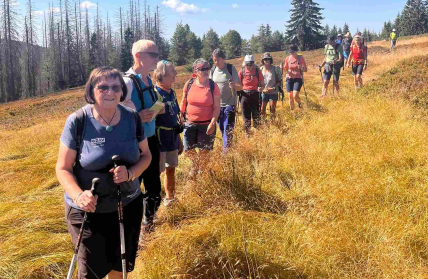Rundweg um den Scheuereckberg und zur tschechischen Grenze