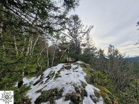 07  KlWagensonnriegel