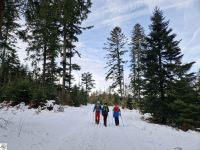 01  20250106 100338 2