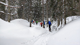 14 Wurzer Alm_0015