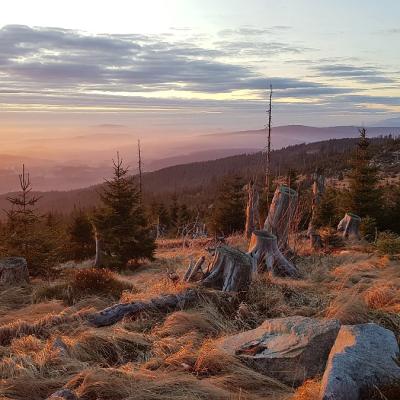 05 Dreisesselkamm 20221215 2026336566