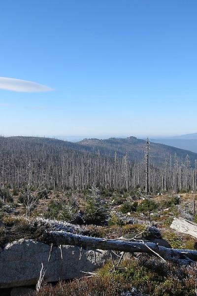 08 Hochkamm 20221215 1453261585