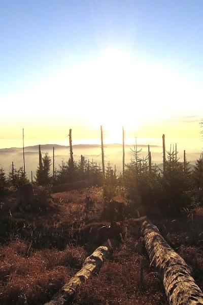 16 Ploeckenstein 0030 20221215 1095204827