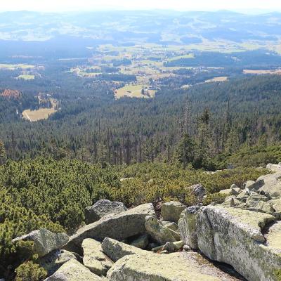 19 Stiftersteig 20221215 1348582703