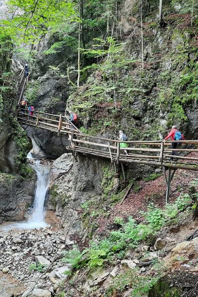 01 Arlingsattel 20220612 Wa0008 20221215 1928489278