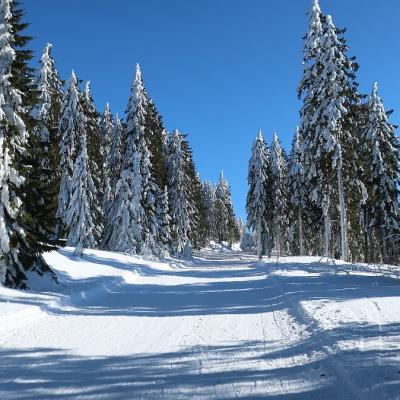 07 Arber 0021 20221215 1884050827