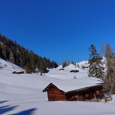 11 Thaelernalm 0052 20221215 1316558732