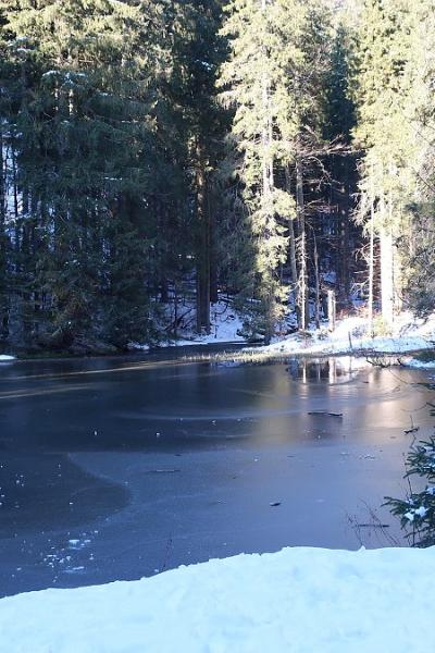 06 Hoellbachschwelle 0005 20221215 2052715109