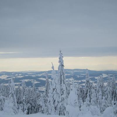 09 Habergrasberg 0019 20221215 1460686552