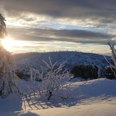 17 Ploeckenstein 04 20221215 1873275996